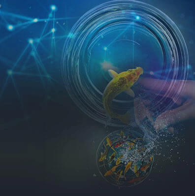 Application Transformation Services